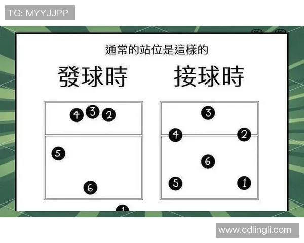排球盛宴：深入解析北京排球队的技术与战术之道