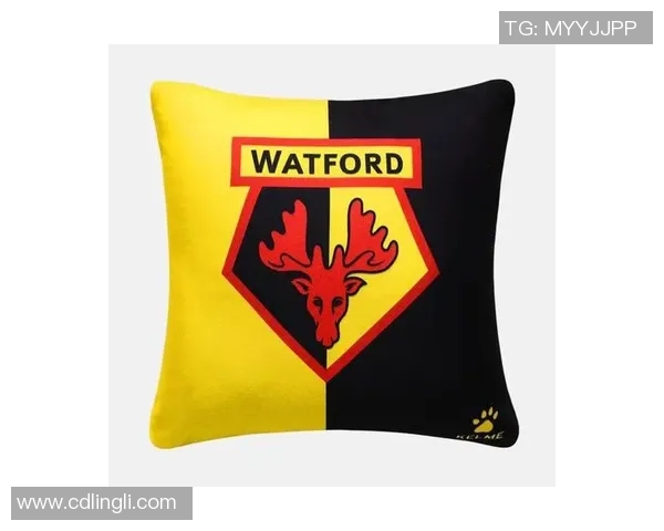 现役足球明星抱枕的魅力与收藏价值探讨 现役足球明星抱枕的魅力与收藏价值探讨