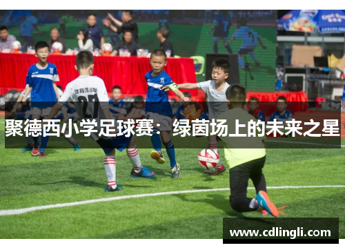 聚德西小学足球赛：绿茵场上的未来之星