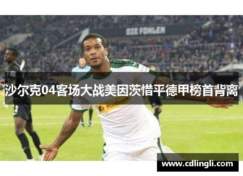 沙尔克04客场大战美因茨惜平德甲榜首背离